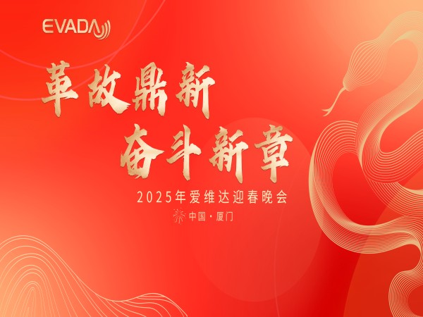 爱维达 2025 开春专项培训收官，迎春晚会燃情谢幕！